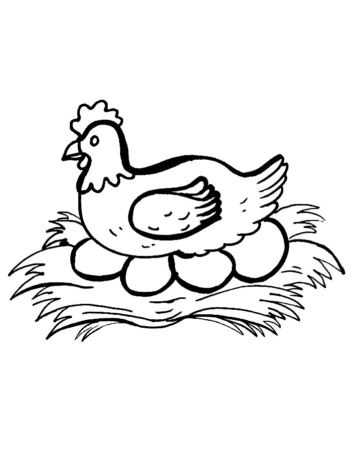 Hen Coloring Pages (Free Printable PDF)