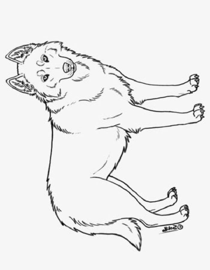 Husky Coloring Pages (Free Printable PDF)