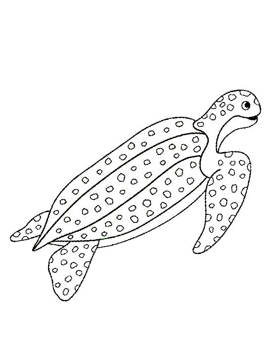 Leatherback sea turtle coloring page