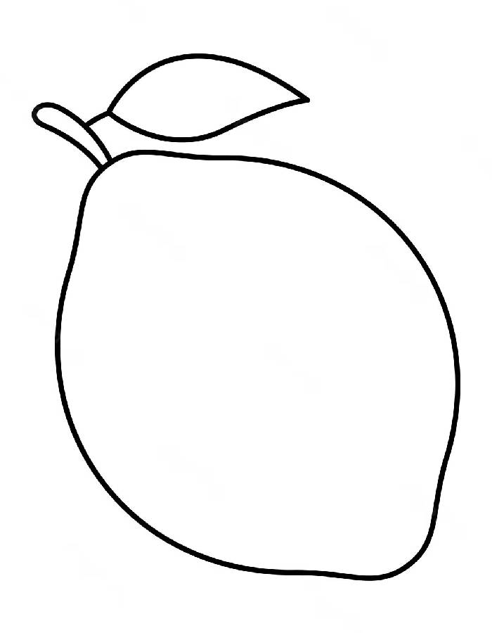 Lime Coloring Pages (Free Printable PDF)