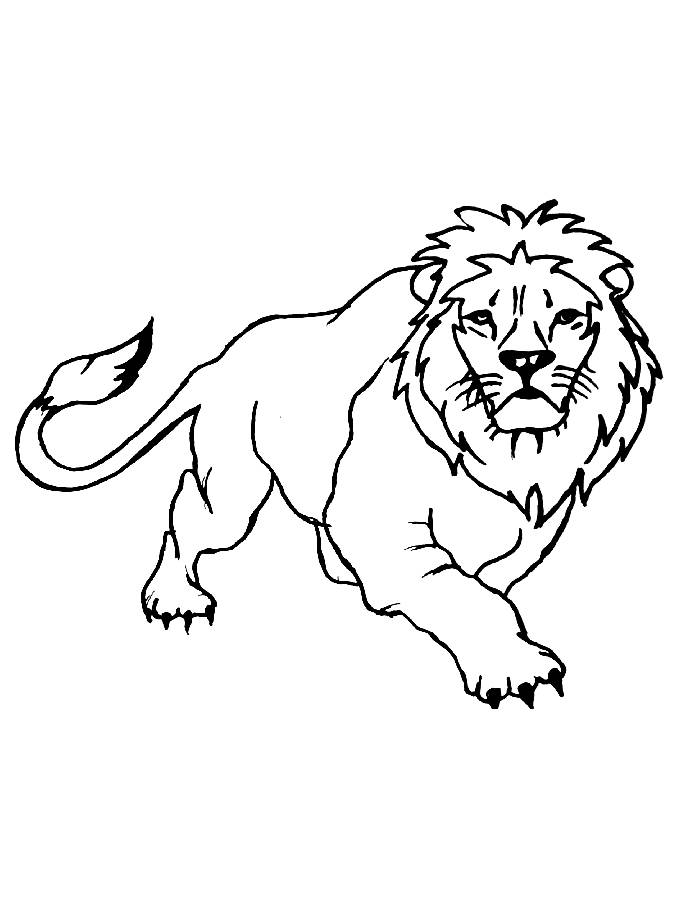 Lion Coloring Pages (Free Printable PDF)