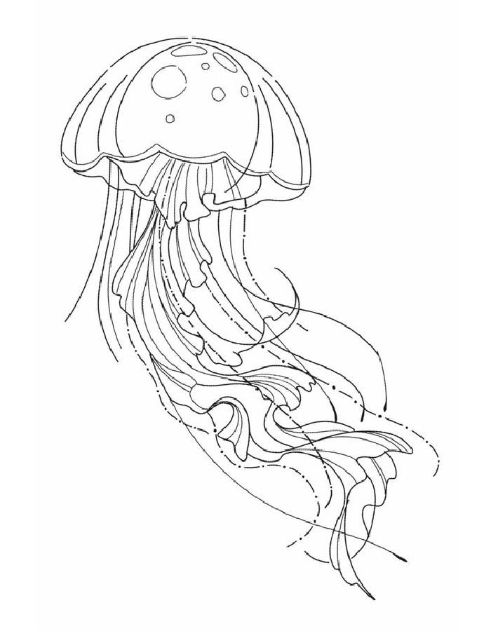 Jellyfish Coloring Pages (Free Printable PDF)