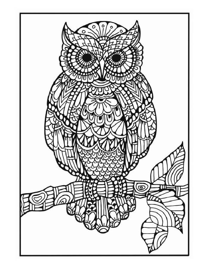 Owl Coloring Pages (Free Printable PDF)