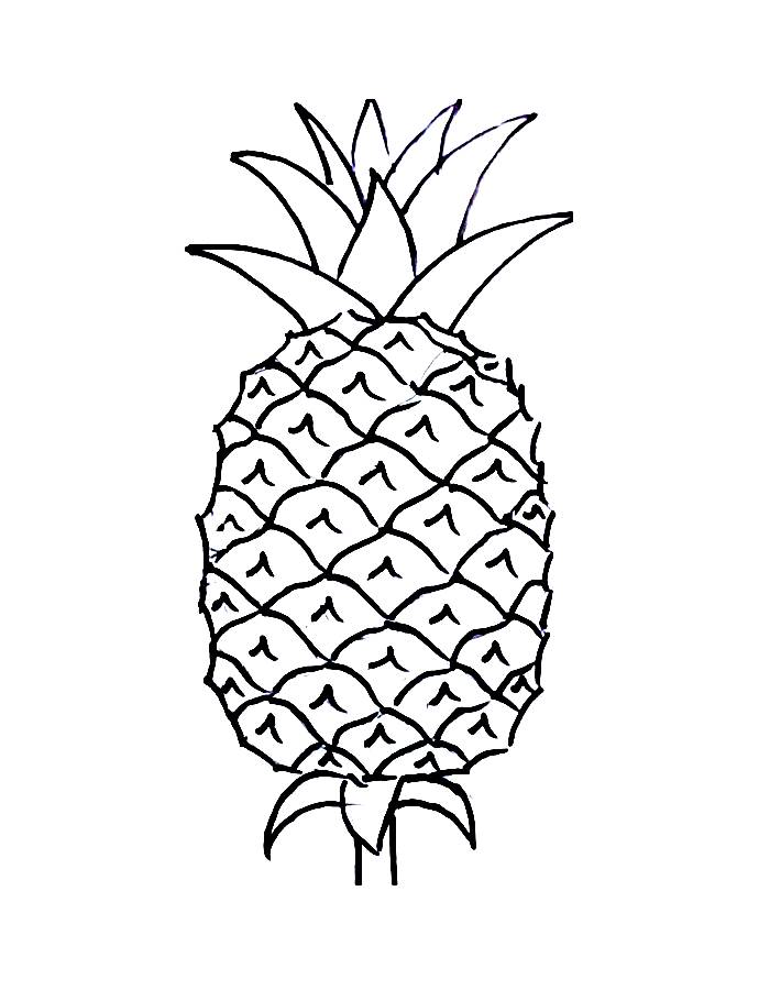 Pineapple Coloring Pages (Free Printable PDF)