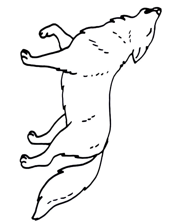 Wolf Coloring Pages (Free Printable PDF)