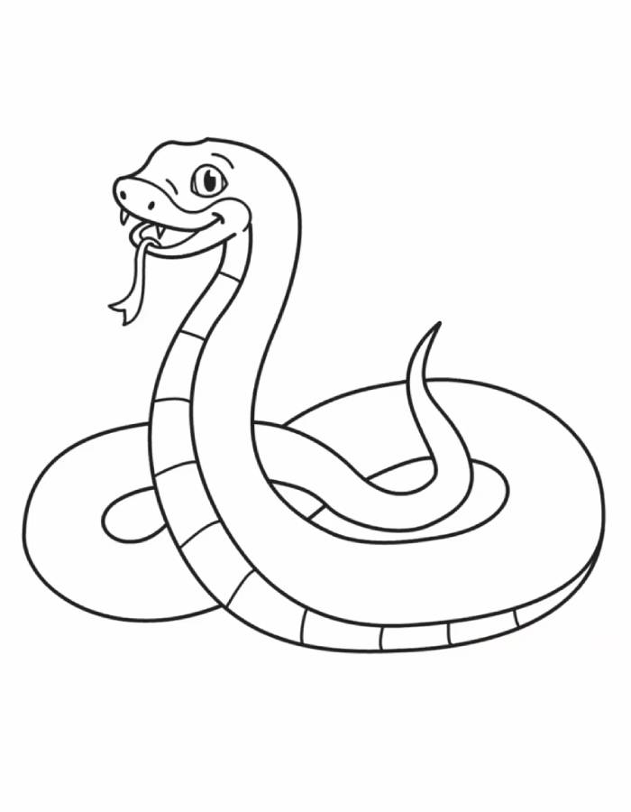 Snake Coloring Pages (Free Printable PDF)