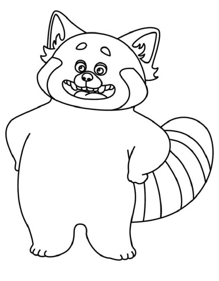 Red Panda Coloring Pages Free Printable Sheets