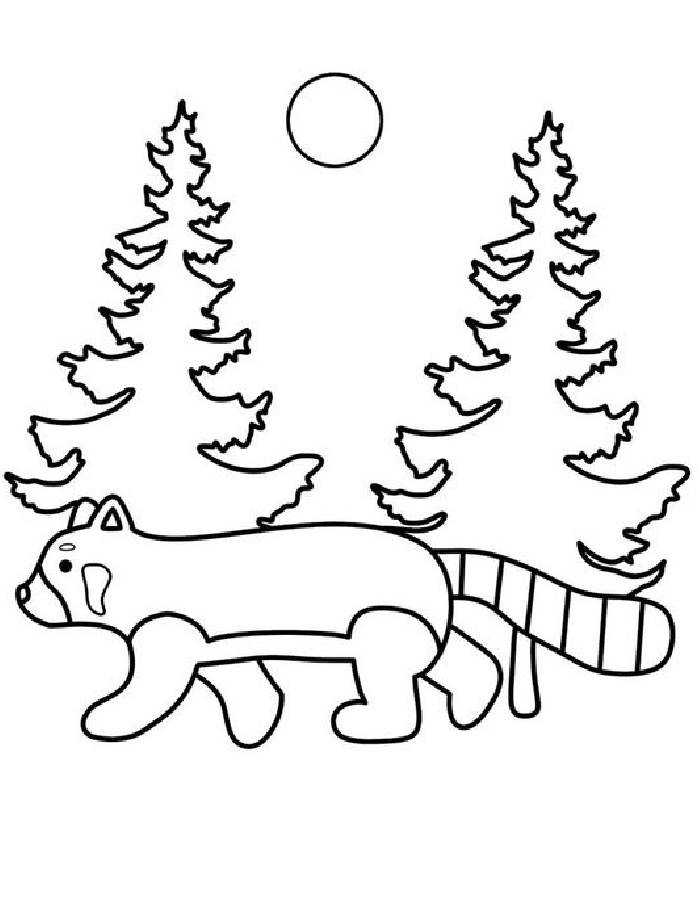 Red Panda Coloring Pages (Free Printable PDF)