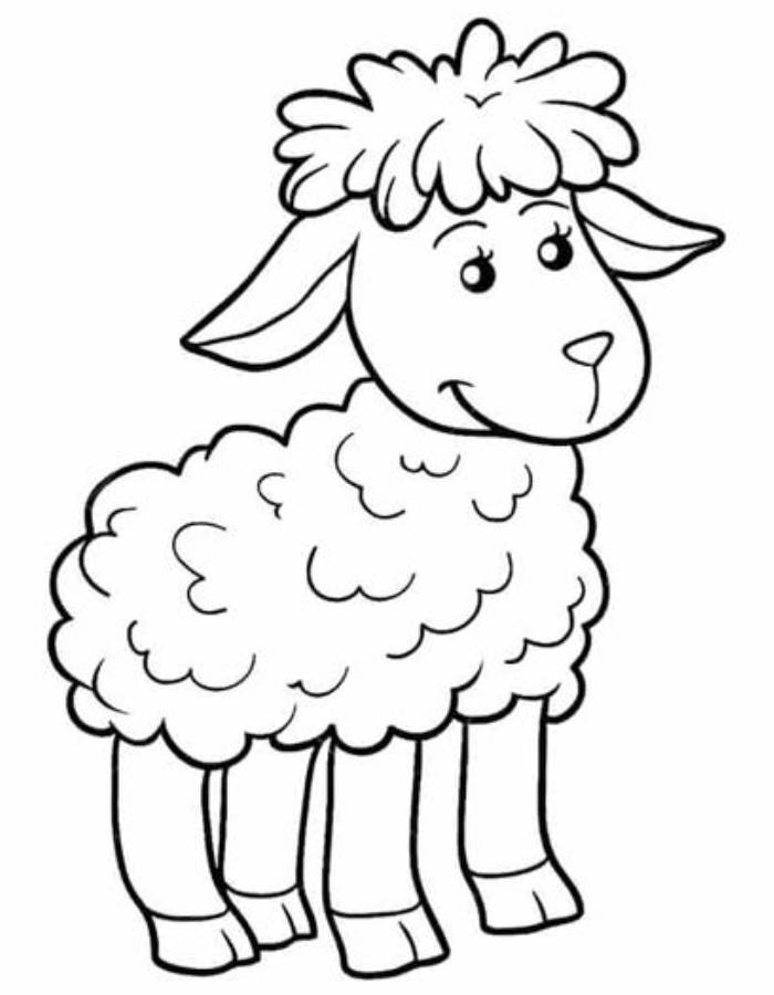 Sheep Coloring Pages (Free Printable PDF)