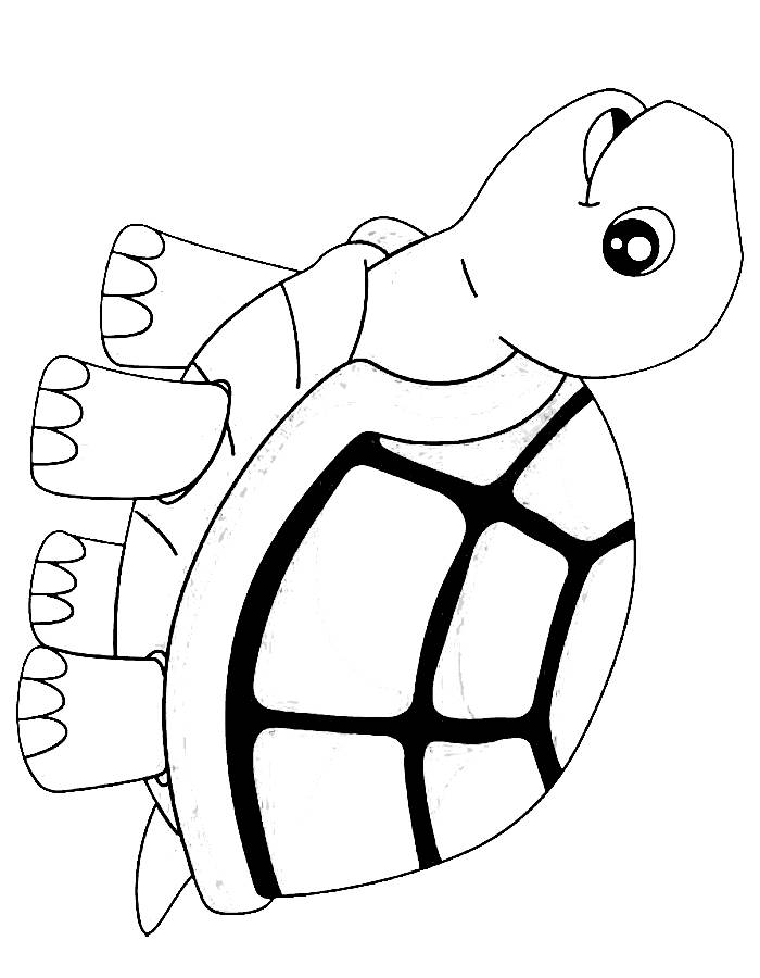 Tortoise Coloring Pages (Free Printable PDF)