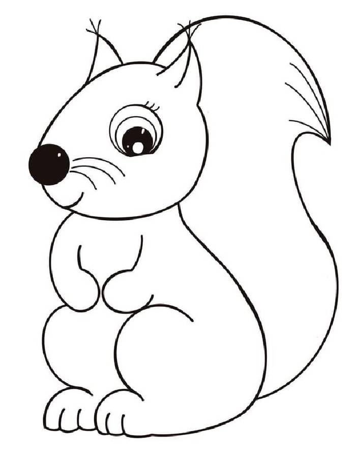 Squirrel Coloring Pages (Free Printable PDF)