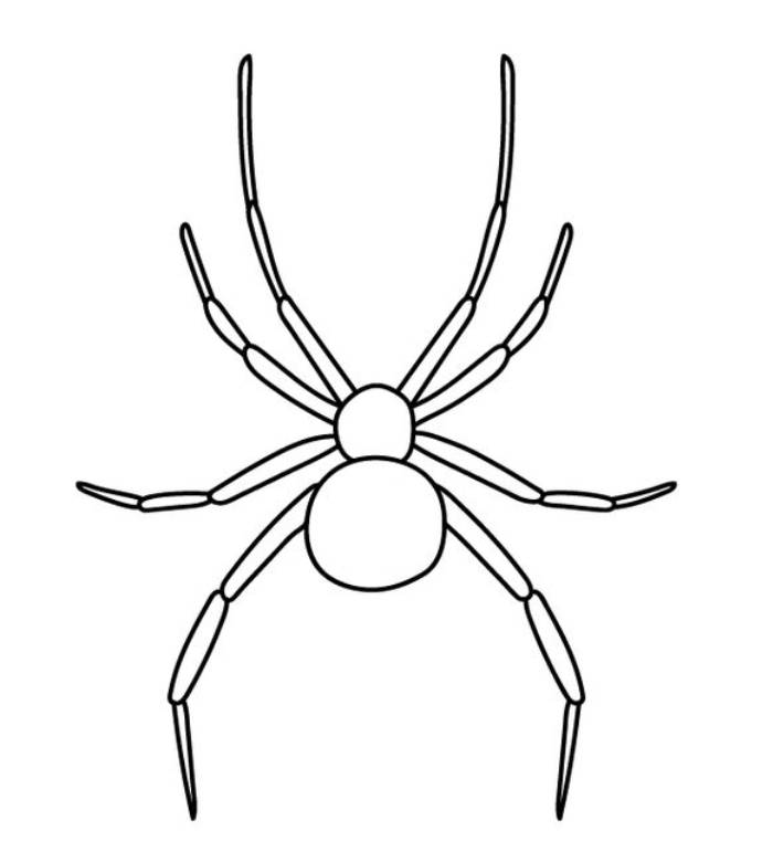 Spider Coloring Pages (Free Printable PDF)