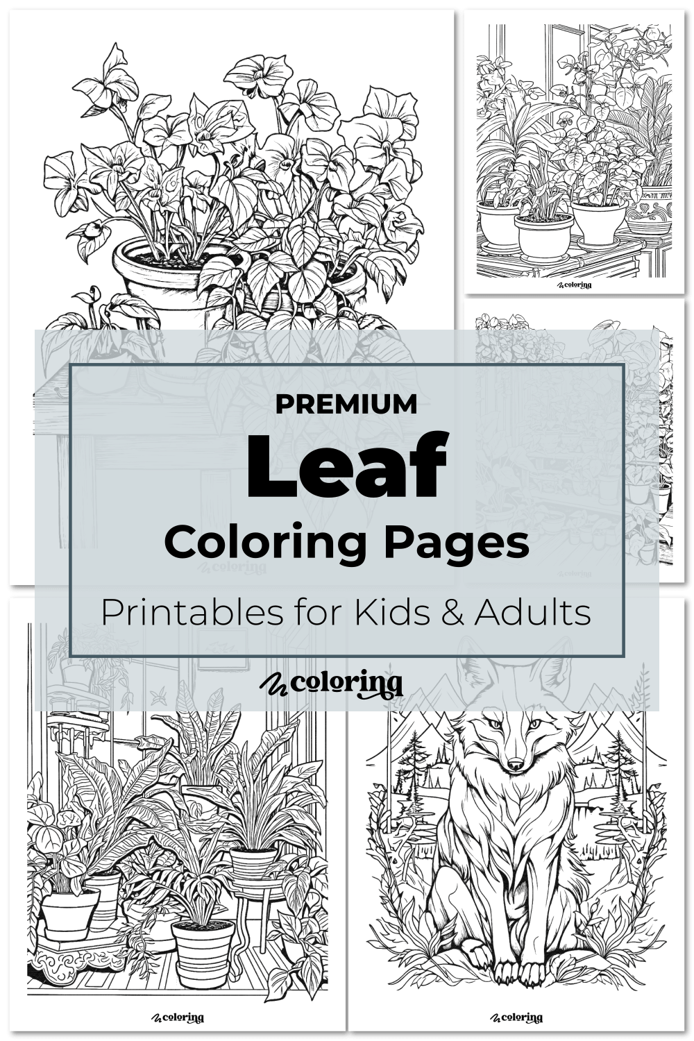 ???? Leaf Coloring Pages 30+ Premium Printables For Kids & Adults