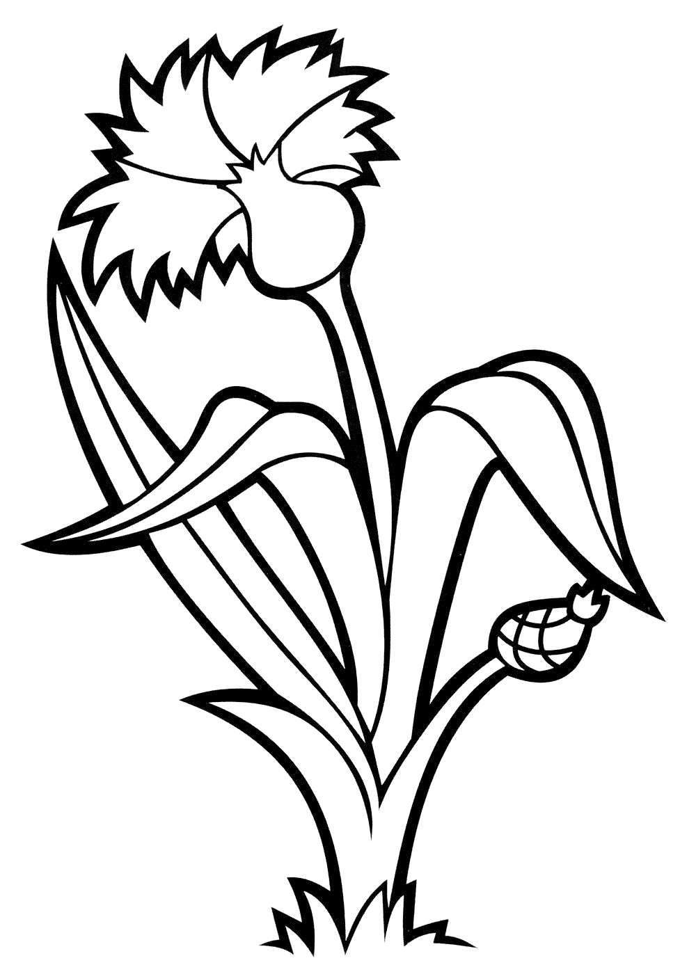 Coloring page cornflower