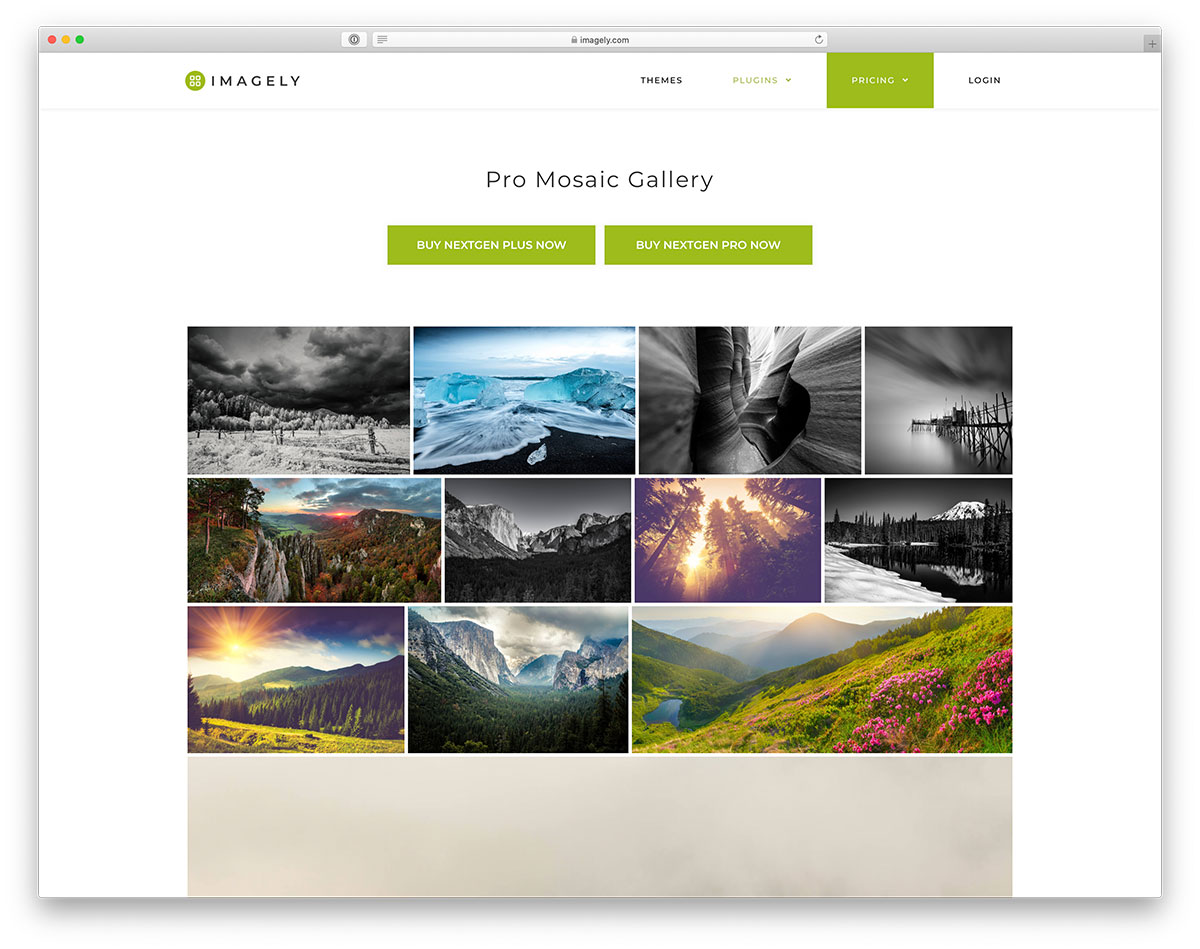 Free Wordpress Photo Gallery Plugin With Categories QuyaSoft