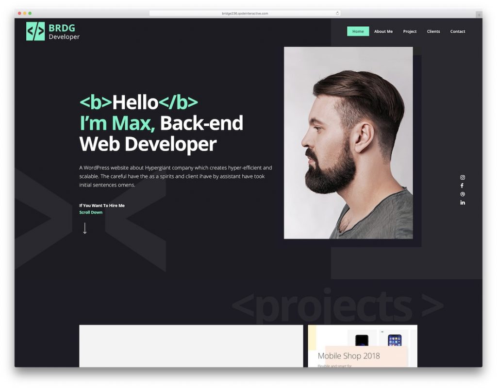 22 Professional WordPress Themes for Programmers 2021 Colorlib