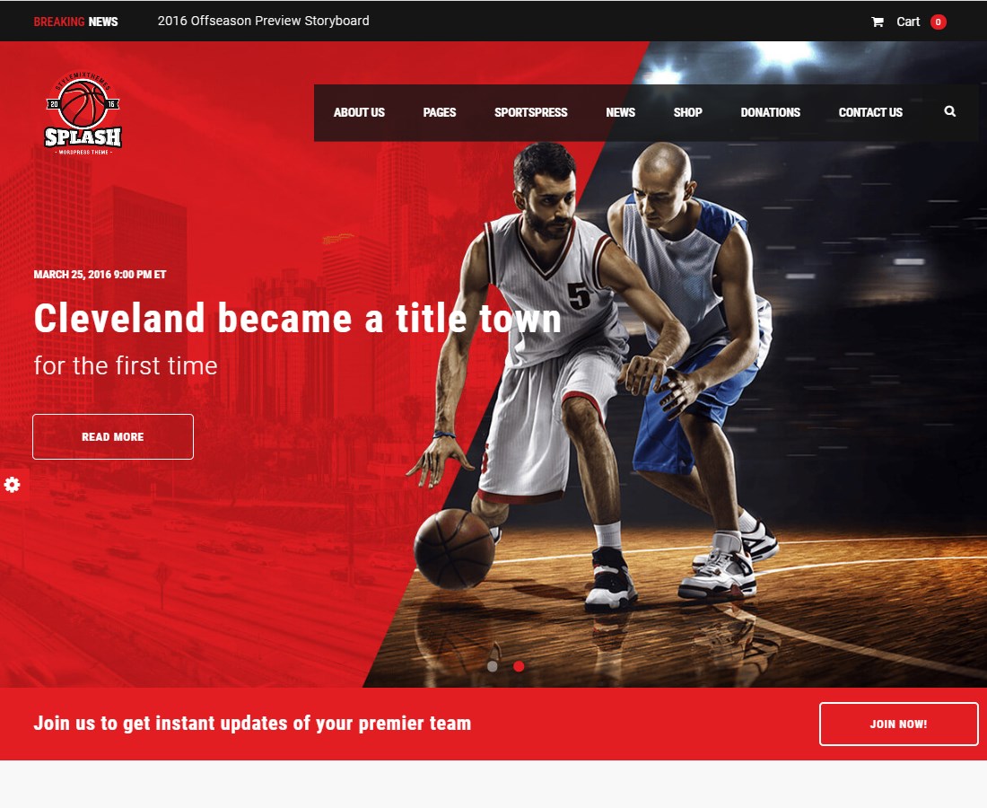10 Absolutely Best Team Sports WordPress Themes to Improve Your site