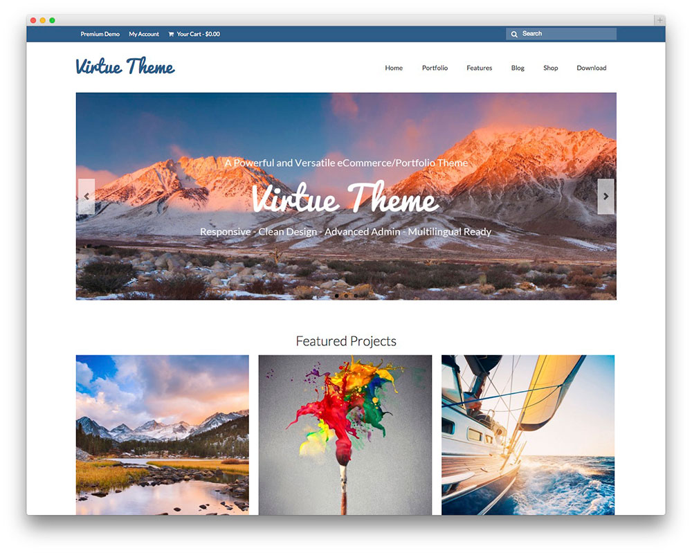 60+ Best Free Responsive WordPress Themes 2021 Avasta