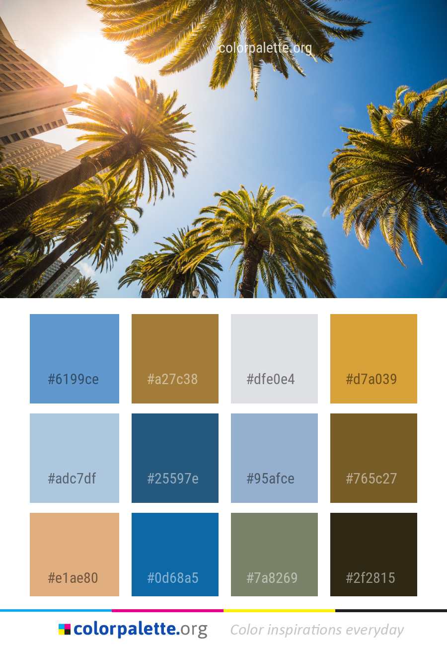 Sky Tree Palm Color Palette | colorpalette.org