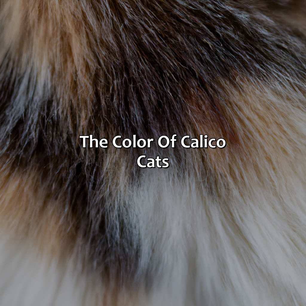 What Color Is Calico