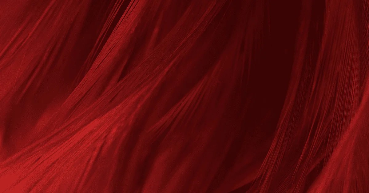 20 Maroon Color Schemes to Elevate Your Design Colors that GO