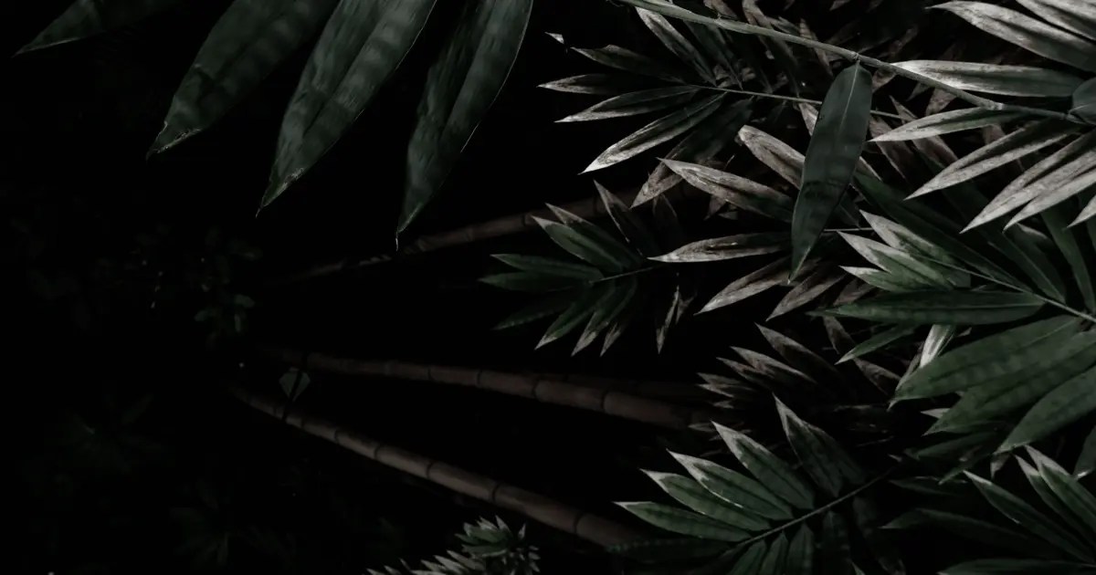 Mix and Match 20 Colors That Work Well with Dark Green Colors that GO