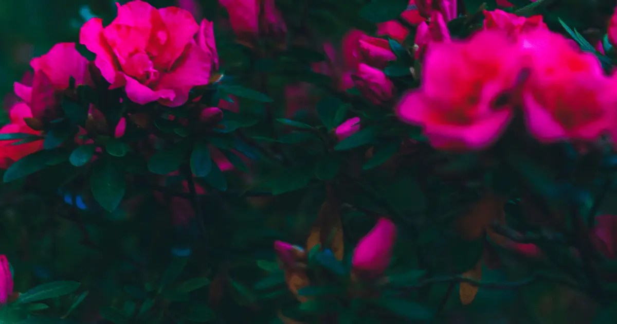 Mix and Match 20 Colors That Work Well with Dark Green Colors that GO