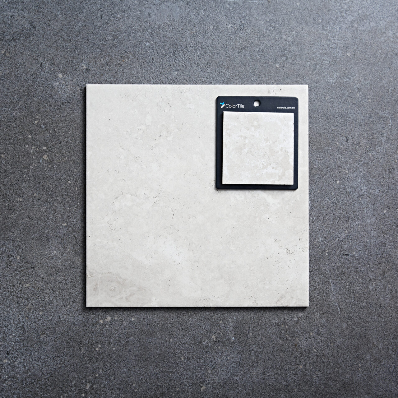 Albany White ColorTile