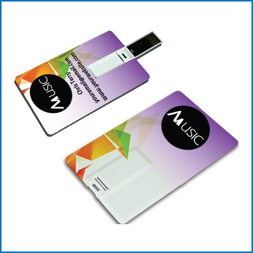 USB Flash Drive Printing - Color Track Printing Center