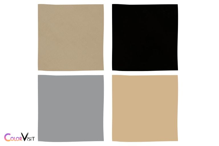 What Color Shirt Goes With Black Shorts?