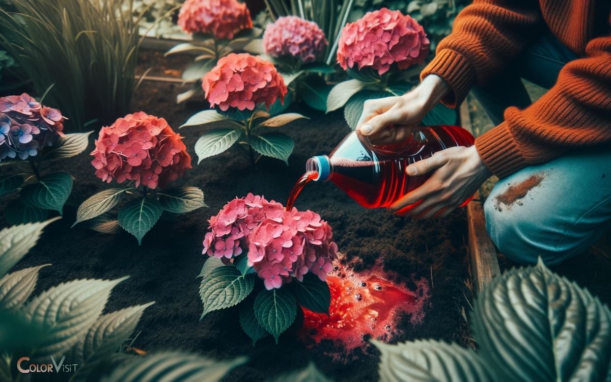 How To Change Hydrangea Color To Red? 4 Steps!