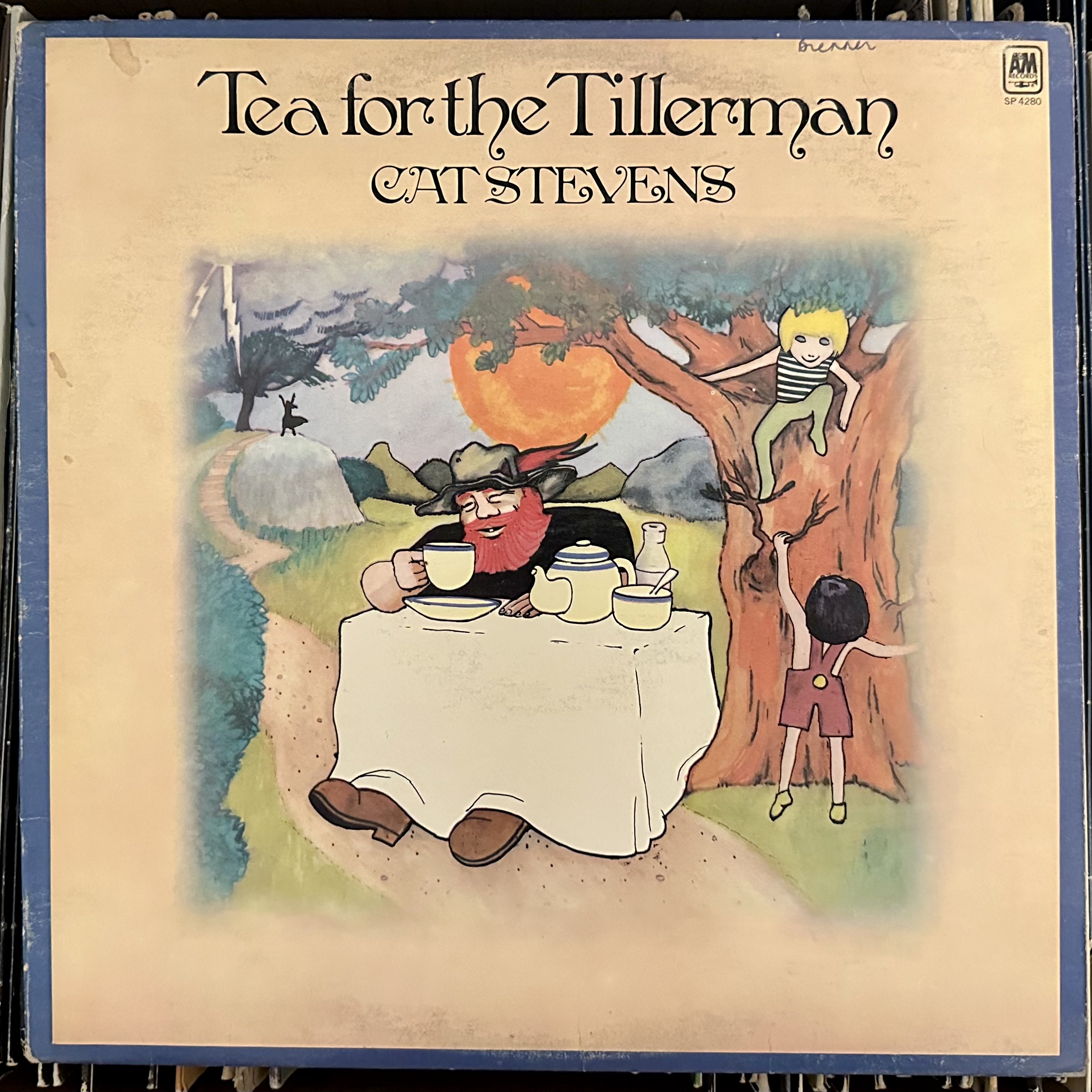 Tea for the Tillerman by Cat Stevens (Vinyl record album review)