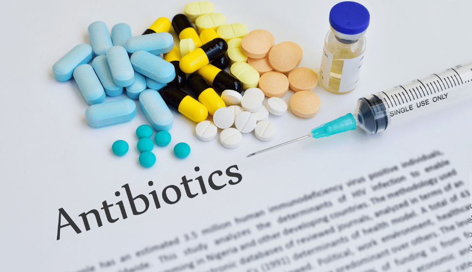 Do antibiotics really wipe out your gut bacteria? Colostrum Research