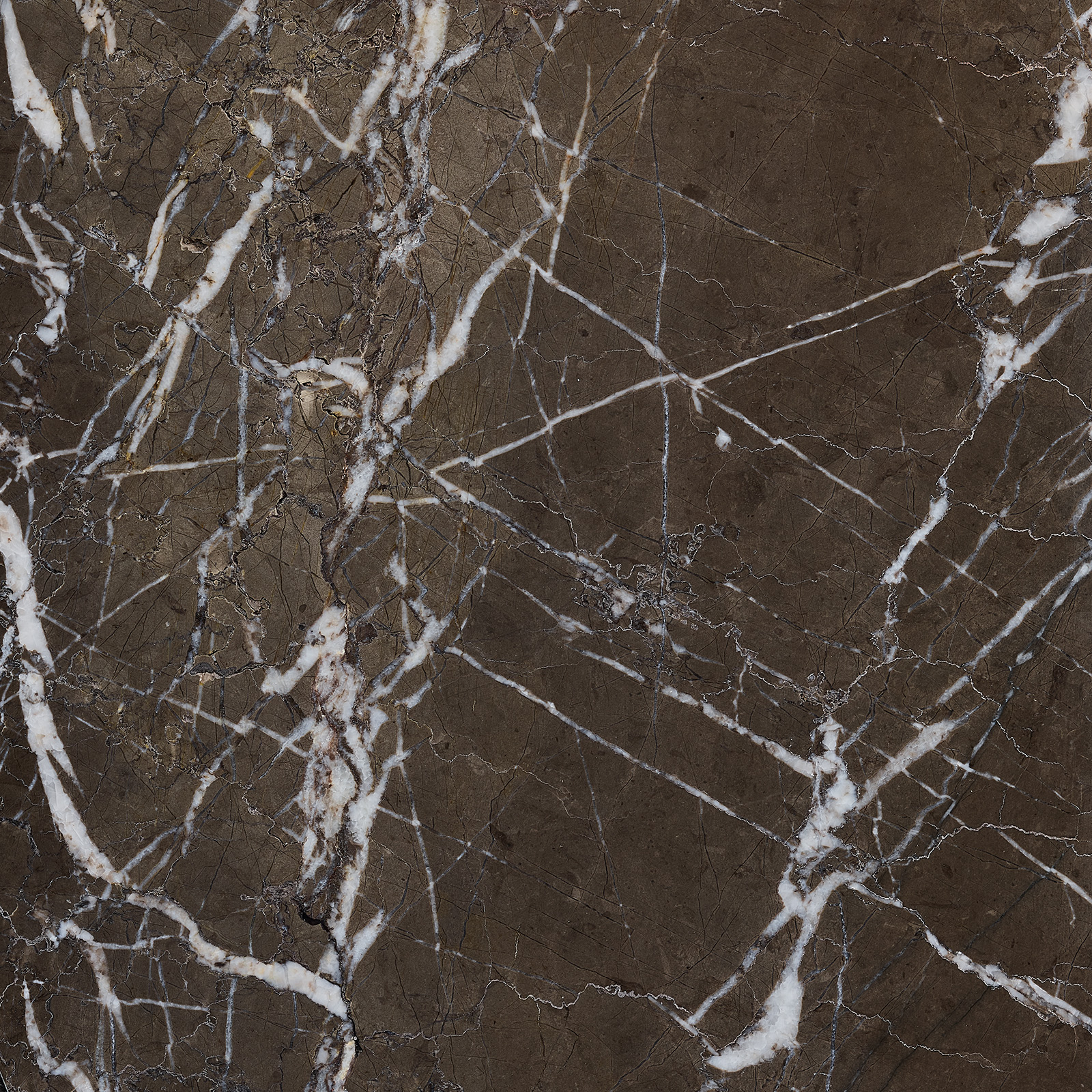 Pietra Grey Marble Tiles free shipping Colour of Stone