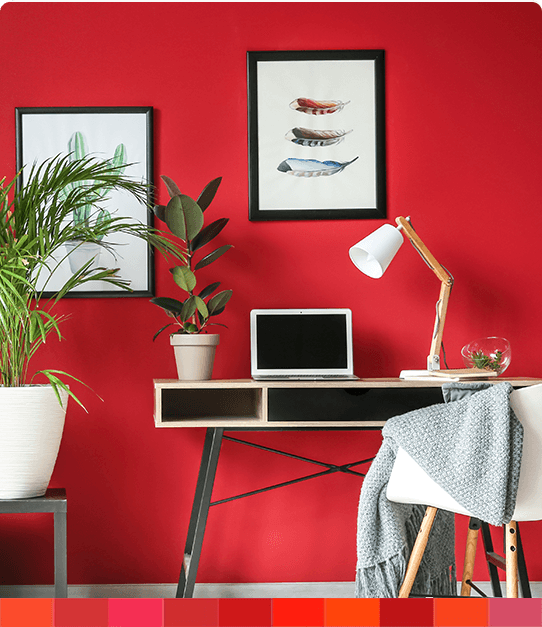 The Colour Shop Grenada Shop Sissons Paints Online