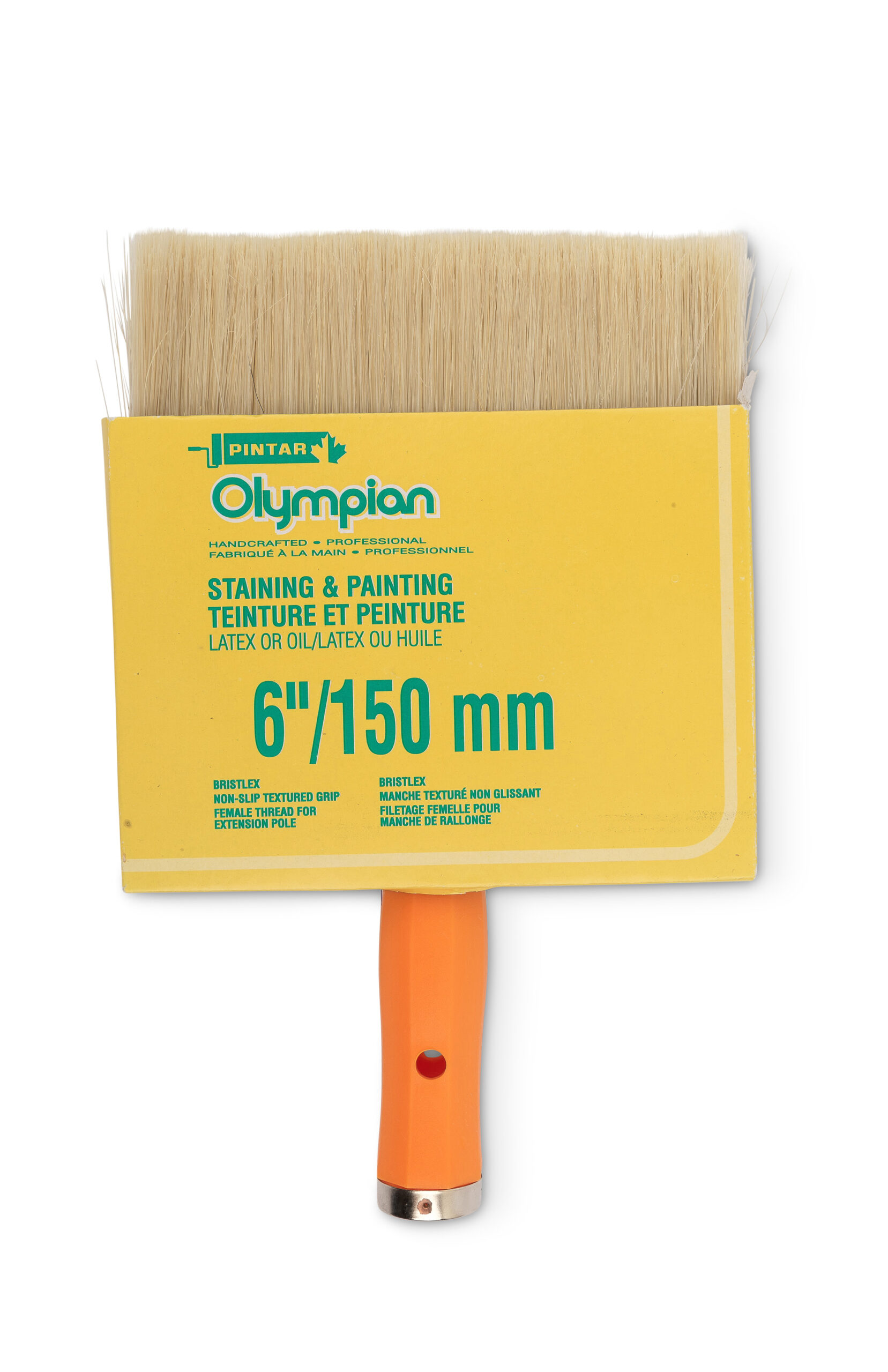 Olympian Staining Brush ColourX