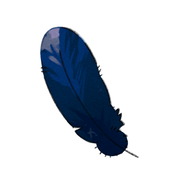 Colsentia Black Crow Feather
