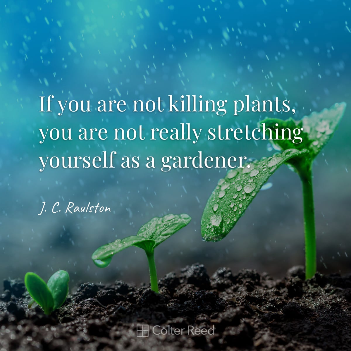If you are not killing plants, you are not really stretching yourself