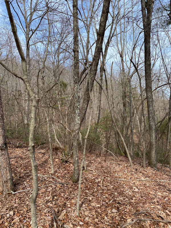 SAWMILL ROAD Ferrum, VA SOLD Col. Tom Wolfe Auctioneer & Real