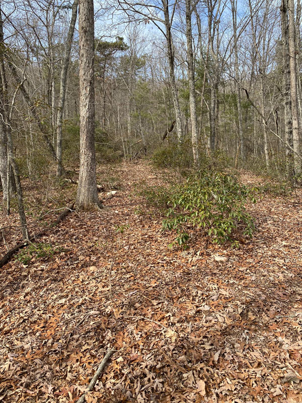 SAWMILL ROAD Ferrum, VA SOLD Col. Tom Wolfe Auctioneer & Real