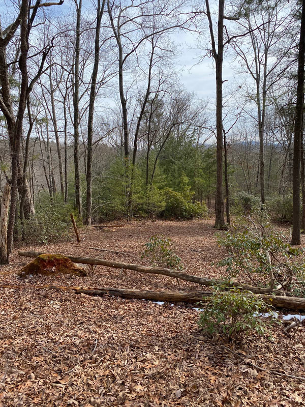 SAWMILL ROAD Ferrum, VA SOLD Col. Tom Wolfe Auctioneer & Real