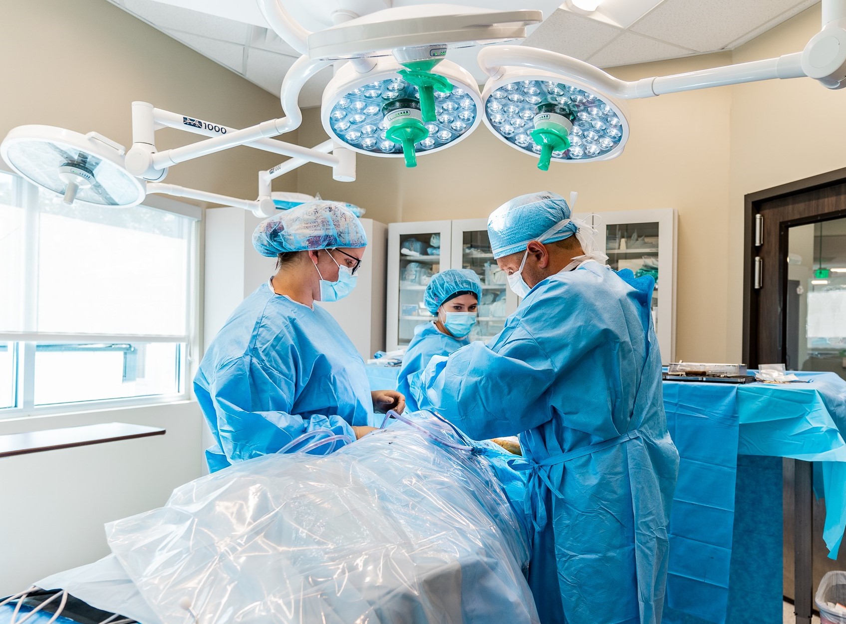 Columbia Veterinary Emergency Trauma & Specialty Columbia