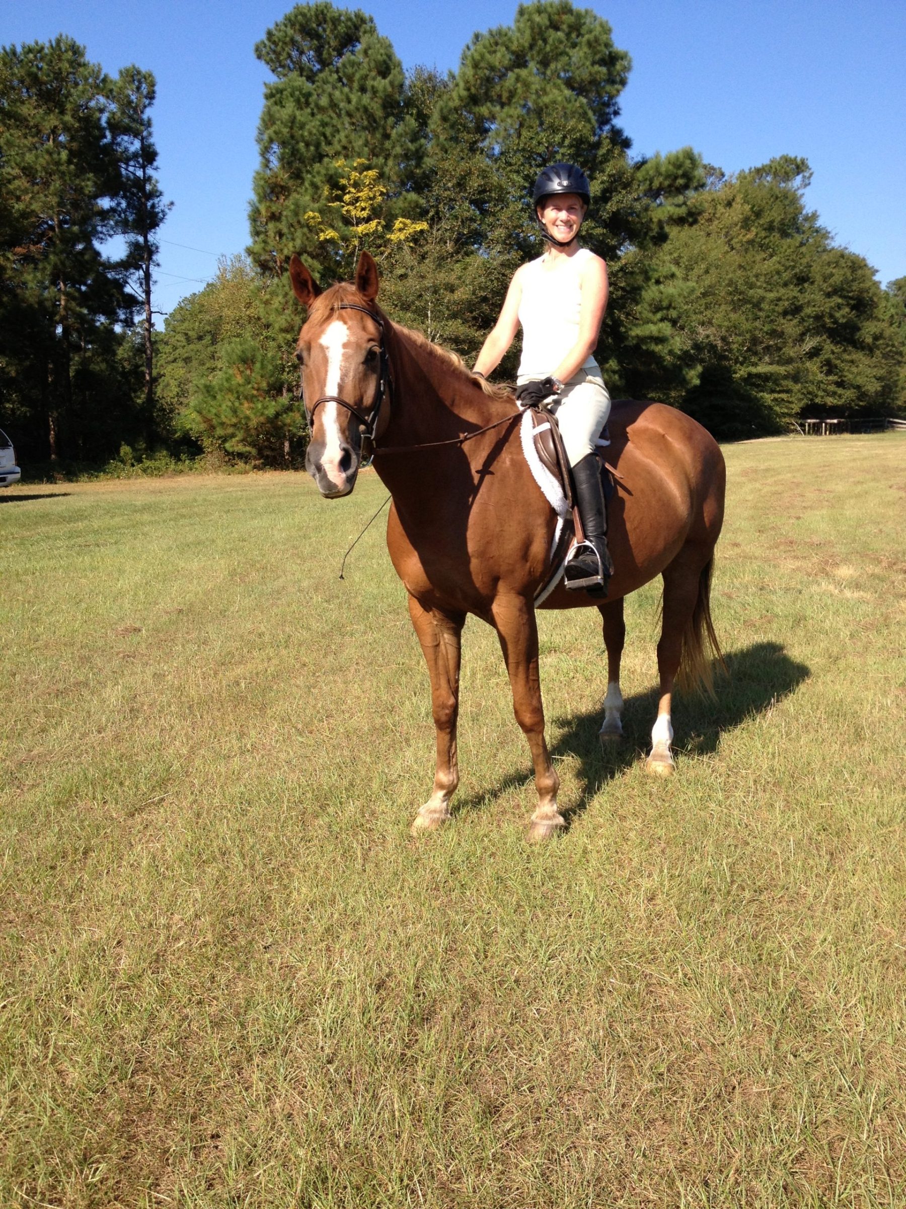 Ann’s Story Columbia Metropolitan Magazine