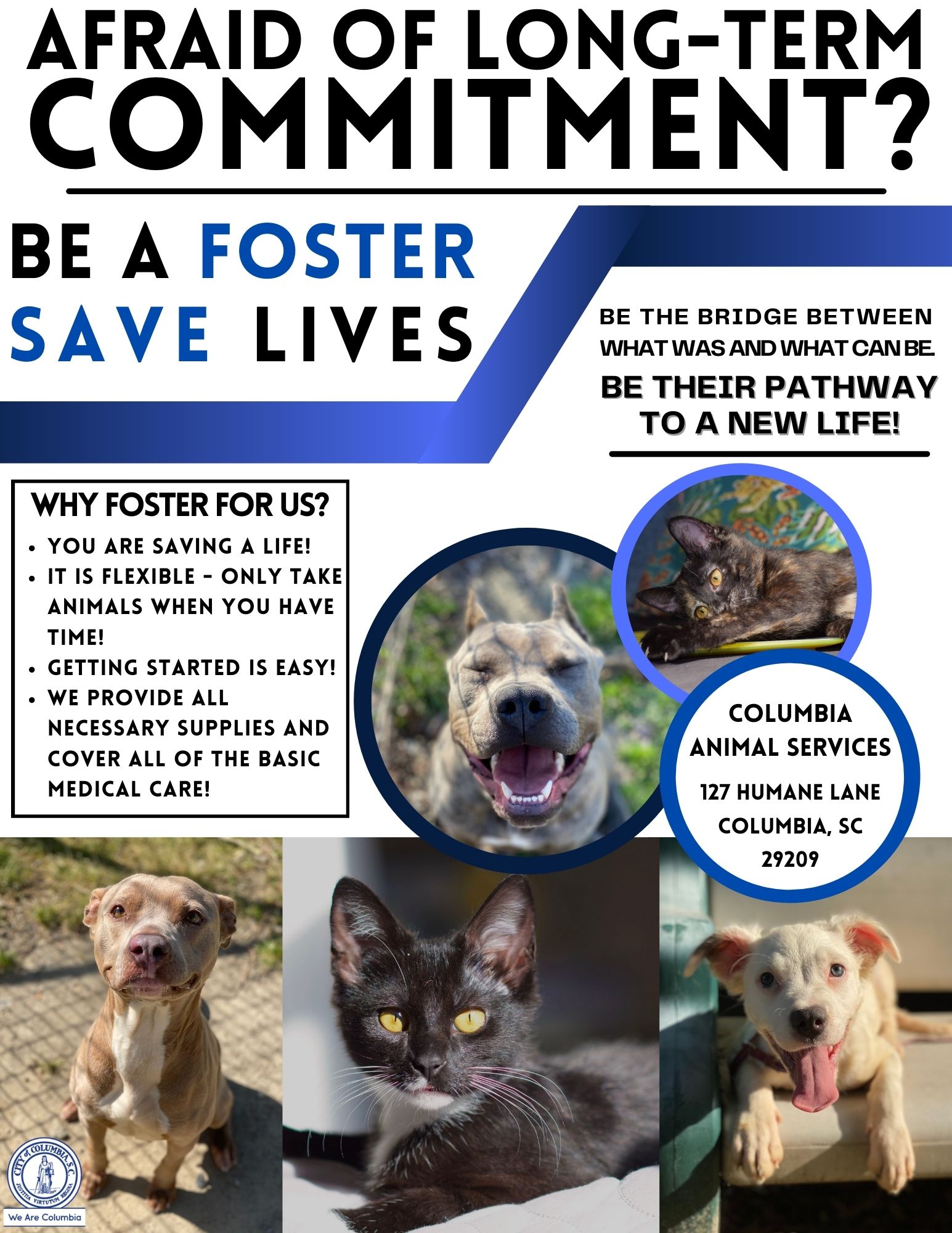 How Do I A Foster Parent For My Puppy