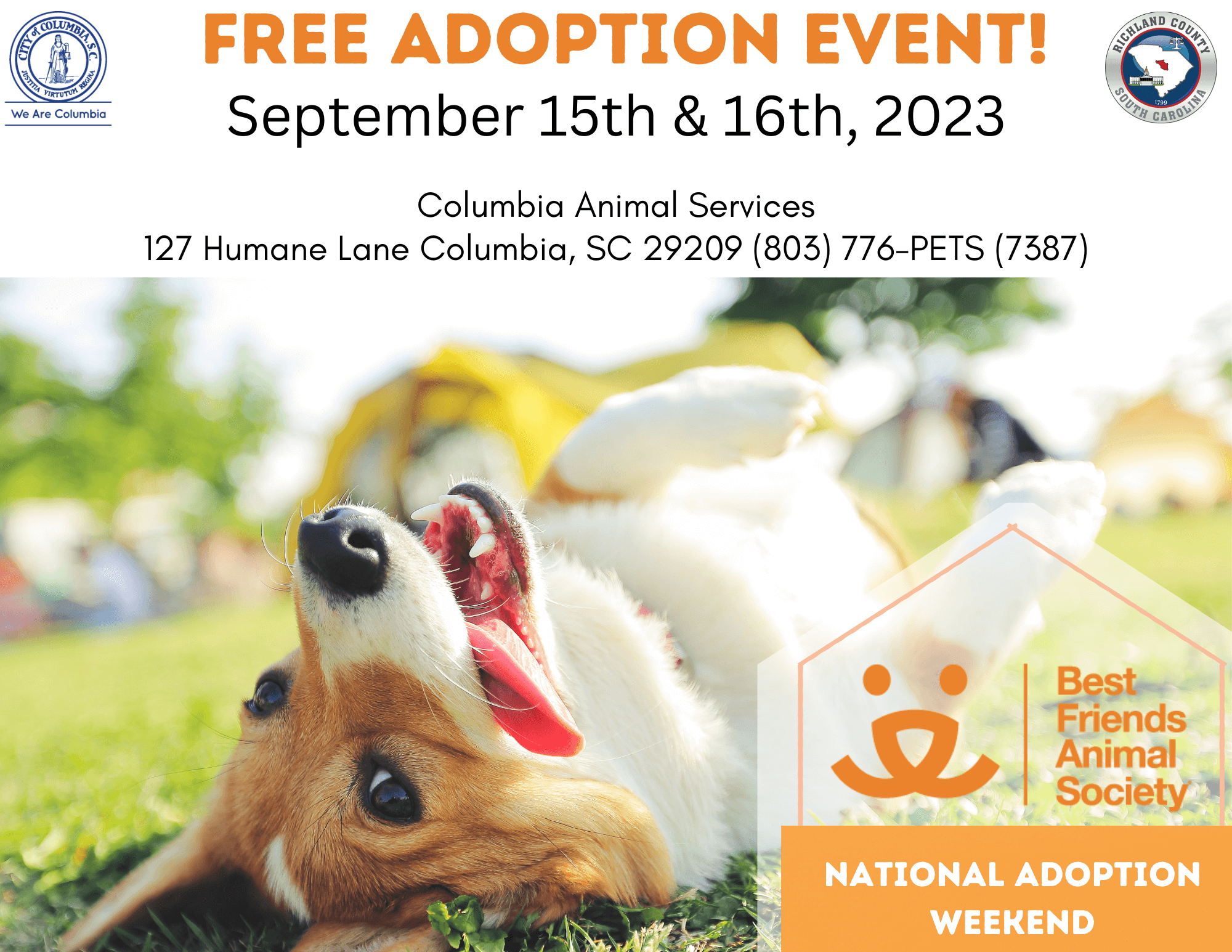 National Adoption Weekend Free Adoption Event City of Columbia