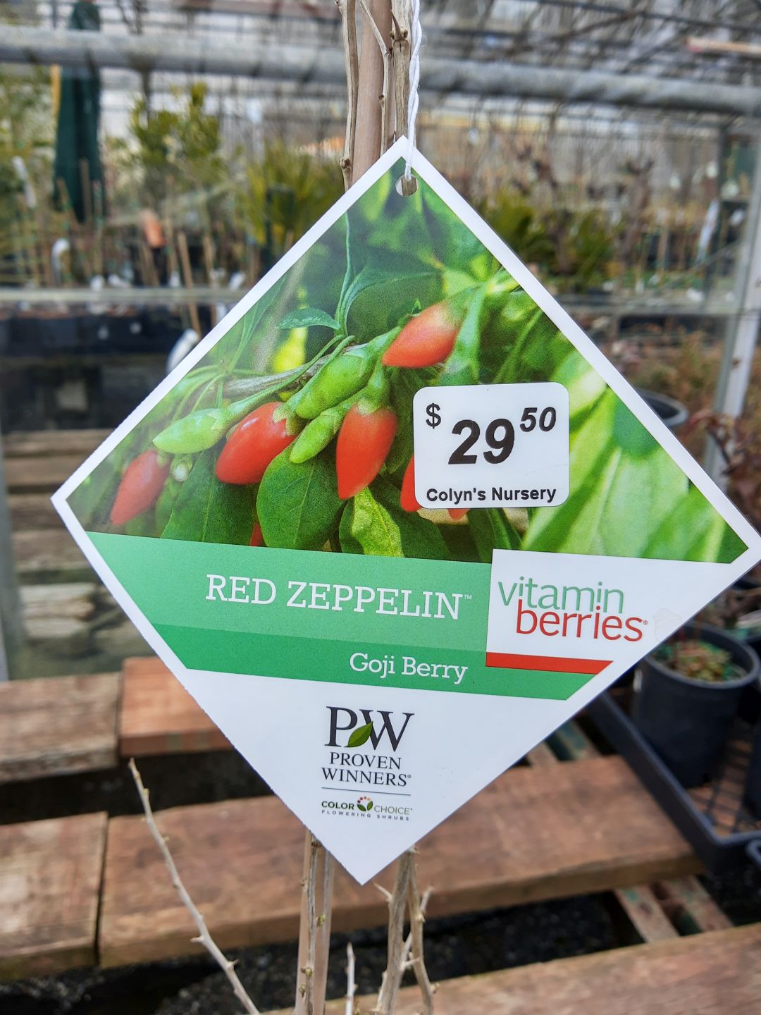 Unique Fruits Colyn's Nursery & Garden Centre