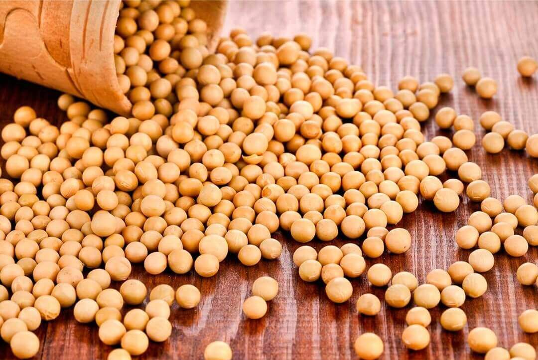 Ukraine Increases Production of Soybean Oil 3s company