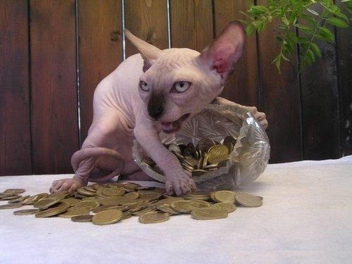 Pension allowance