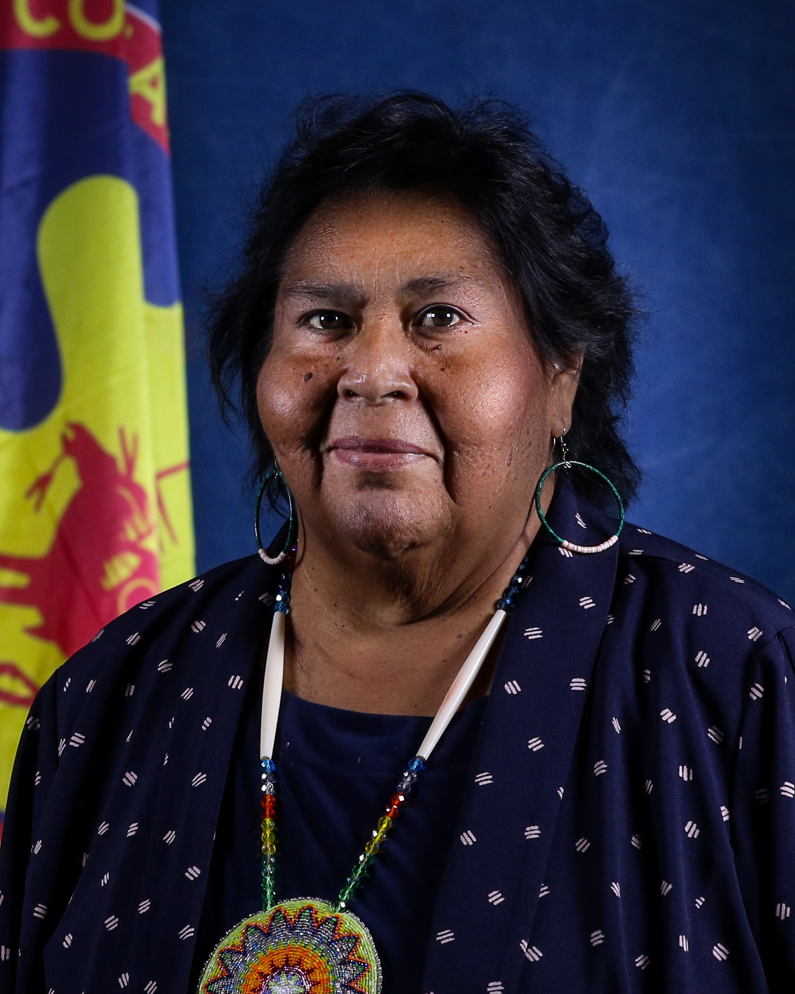 About Comanche Housing