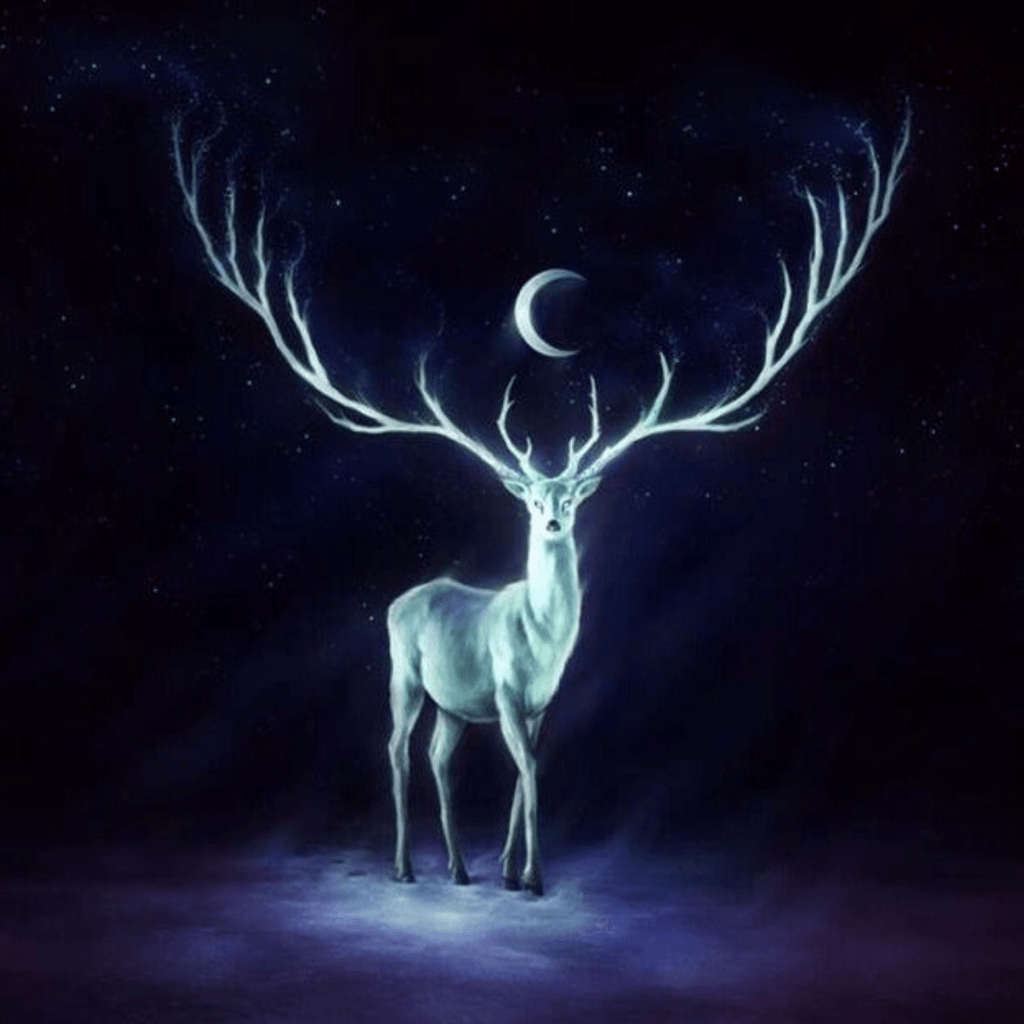 Le Cerf Blanc Comanimale and Art